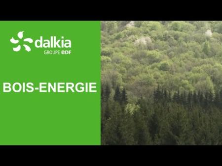 Vignette - Quel est le parcours du bois-énergie ? | BRUT x Dalkia