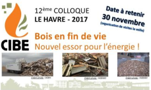 487f0d5-6769-Colloque-CIBE.PNG